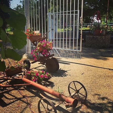 La Casa in Campagna Villa San Martino in Pensilis Esterno foto