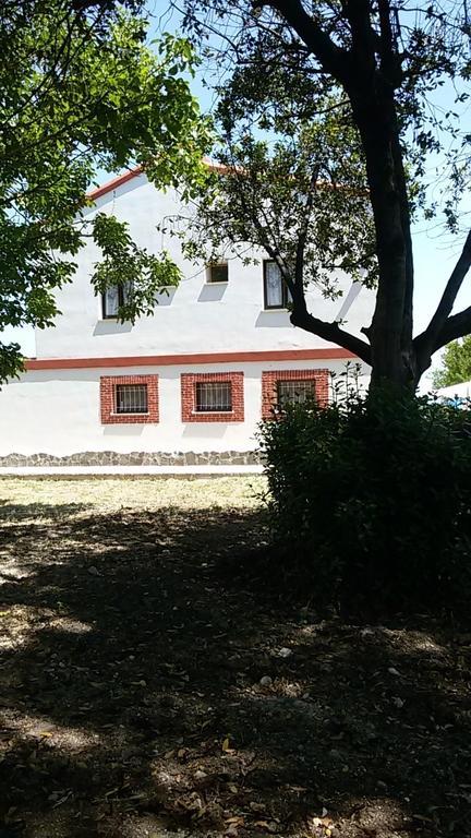 La Casa in Campagna Villa San Martino in Pensilis Esterno foto