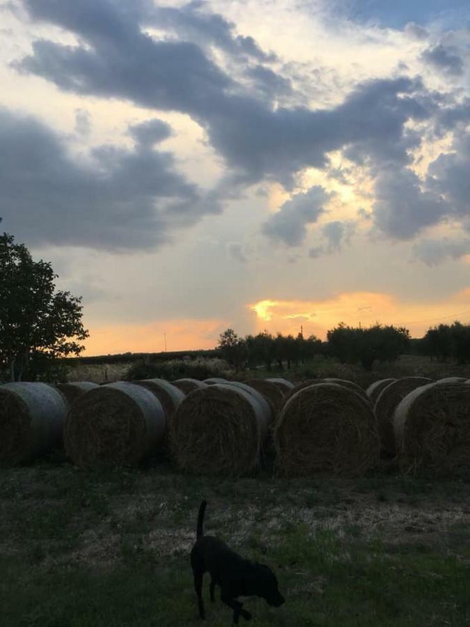 La Casa in Campagna Villa San Martino in Pensilis Esterno foto