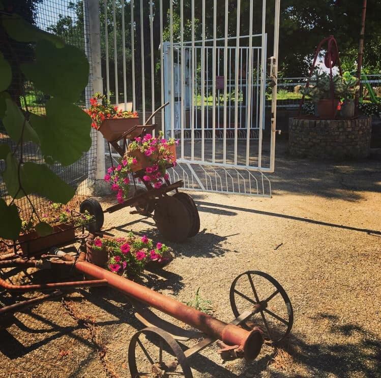 La Casa in Campagna Villa San Martino in Pensilis Esterno foto